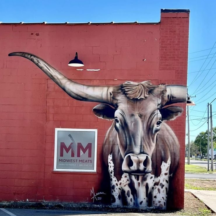 Art By Mindys Murals Junction City.